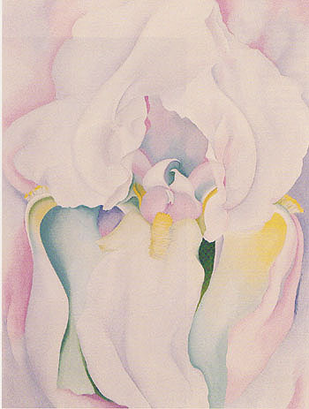 o keeffe white iris