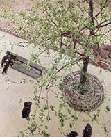 Boulevard Seen from Above c1880 - Gustave Caillebotte