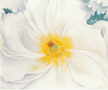 White Flower 1929 - Georgia O'Keeffe reproduction oil painting