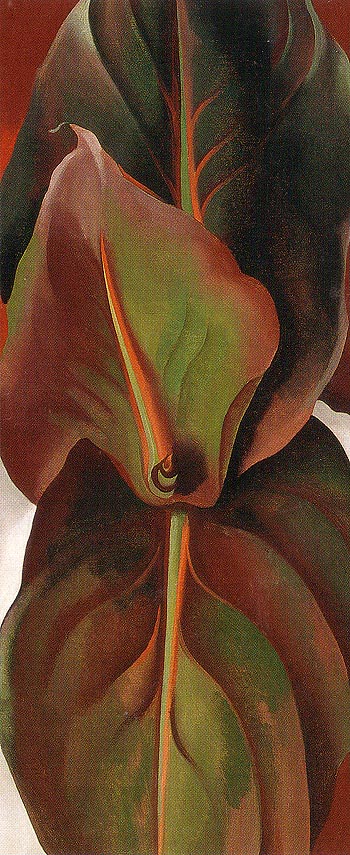 Canna Leaves 1925 - Georgia O'Keeffe reproduction oil painting