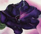 Petunia 1925 - Georgia O'Keeffe