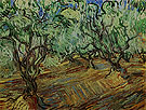 Olive Grove 1889 - Vincent van Gogh