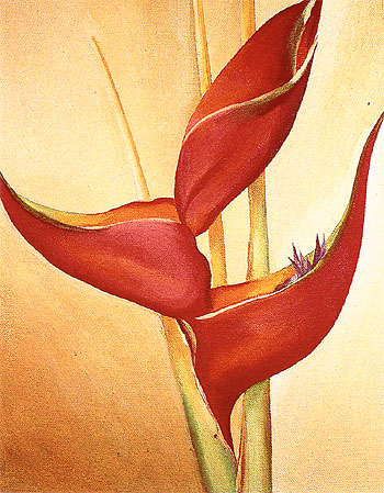 Not From My Garden 1967 - Georgia O'Keeffe reproduction oil painting