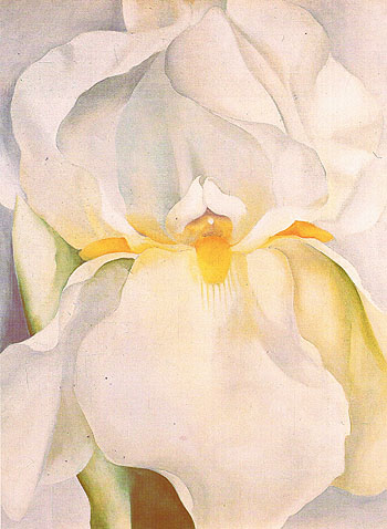 White Iris No 7 1957 - Georgia O'Keeffe reproduction oil painting