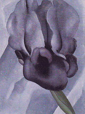 Black Iris The Dark Iris No 1 1926 - Georgia O'Keeffe reproduction oil painting