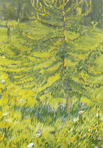 Larch Sapling 1908 - Franz Marc reproduction oil painting