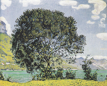 Tree near Lake Brienz from Bodeli 1906 - Ferdinand Hodler reproduction oil painting