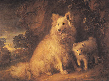 Pomeranian Bitch and Pup c1777 - Thomas Gainsborough reproduction oil painting