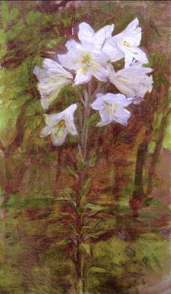 Lilies 1890 - Ellen Day Hale reproduction oil painting