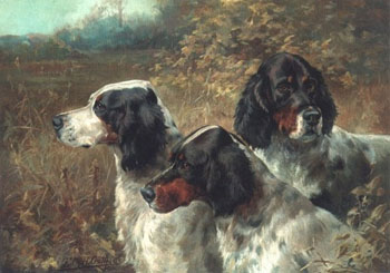 Three English Setters - Edmund Henry Osthaus reproduction oil painting